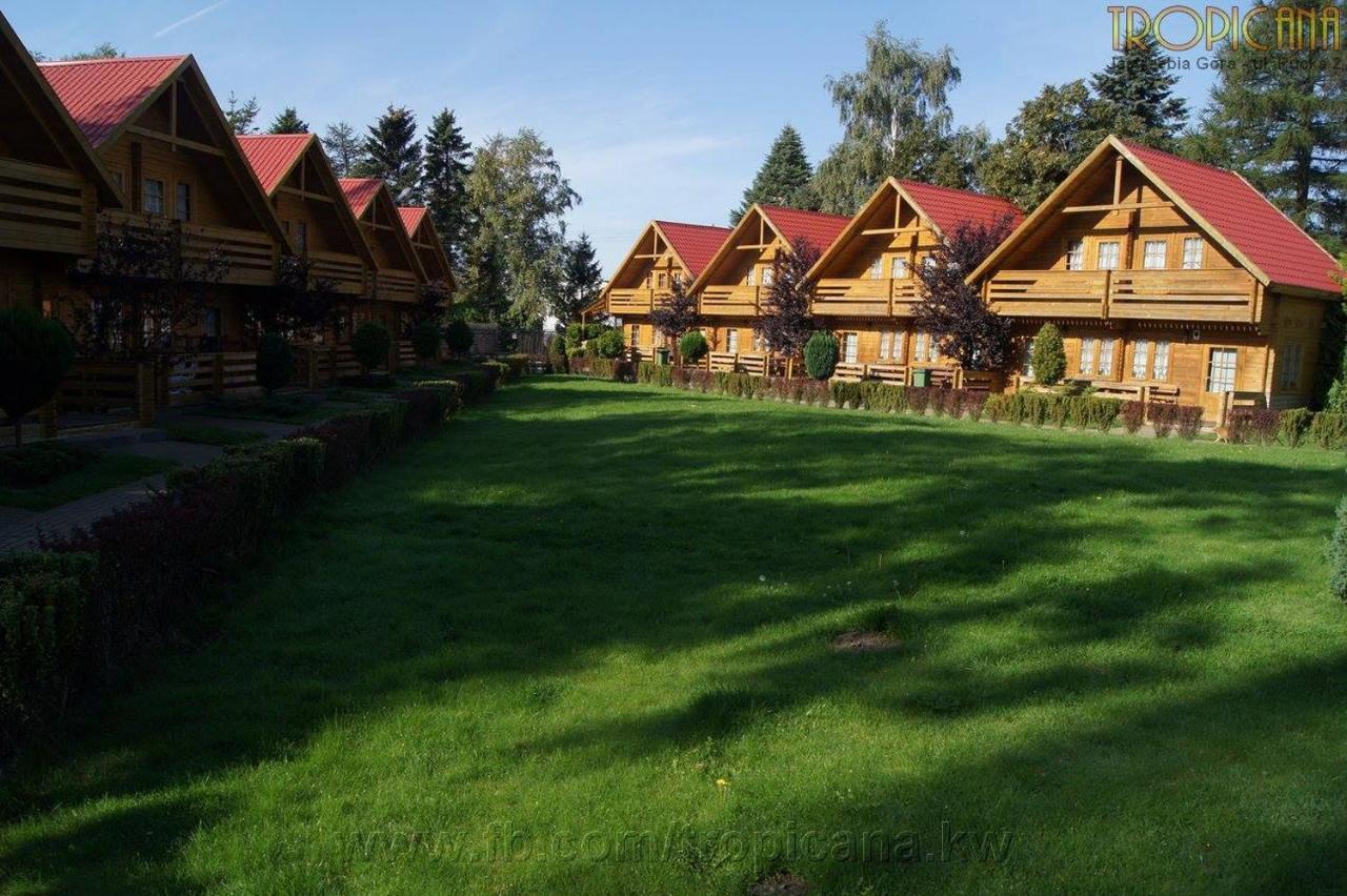 Tropicana Ϫϫ Jastrzębia Góra Esterno foto